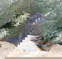 Bathurst Arts Trail - Accommodation Mermaid Beach