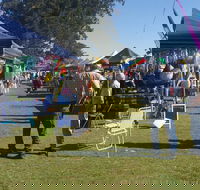 Casino Golf Club Markets - Accommodation Mermaid Beach