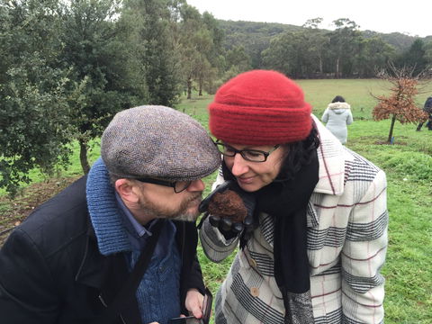 Feast And Forage - Craig's Royal Hotel - Accommodation Mermaid Beach 1