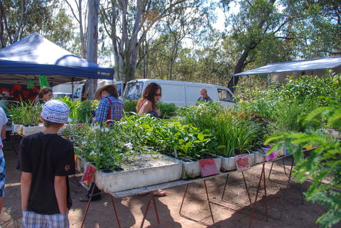 Fernvale Country Markets - Accommodation Mermaid Beach 1