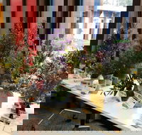 Grampians Wildflower Show - Accommodation Mermaid Beach