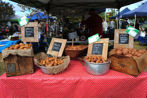 Lawson Park Markets - Accommodation Mermaid Beach 0