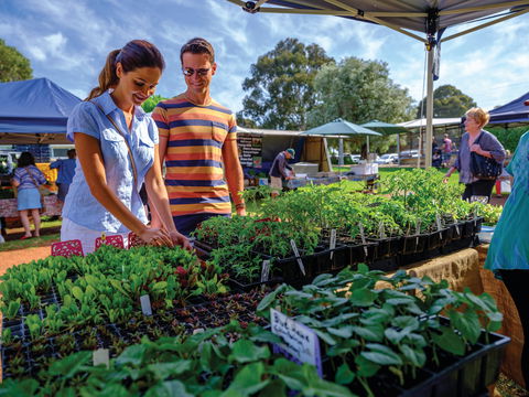 Margaret River Farmers Market - Accommodation Mermaid Beach 1