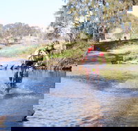 Mountain Man Tri Challenge - Accommodation Mermaid Beach