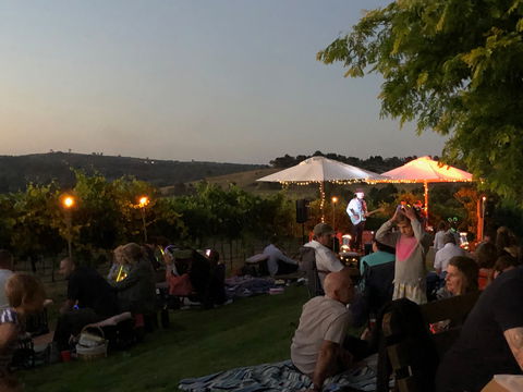 Thank God It's Friday Dinner - Vine And Dine - Accommodation Mermaid Beach 1