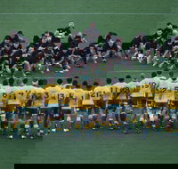Bledisloe Cup Qantas Wallabies versus All Blacks - Accommodation Mermaid Beach