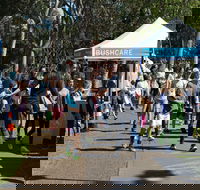 Bushcare Fair - Accommodation Mermaid Beach