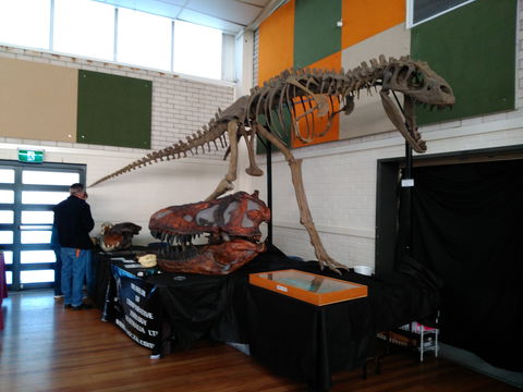 Carlingford Gem And Mineral Expo - Accommodation Mermaid Beach 1