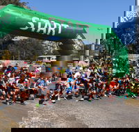 Coffs Harbour Running Festival - Accommodation Mermaid Beach