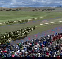 Cooma Sundowners Cup - Accommodation Mermaid Beach