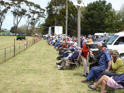 Dean Sheepdog Trials - Old Sniff Classic - Accommodation Mermaid Beach 1