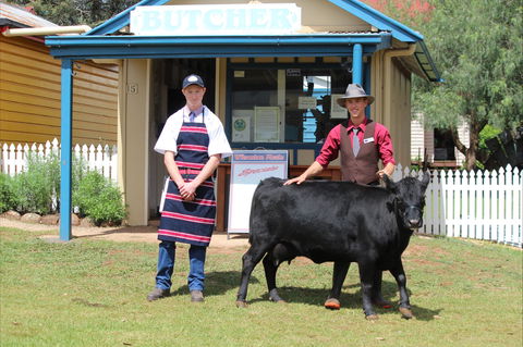 Festival Of The Big Cow - Accommodation Mermaid Beach 2