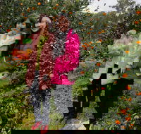 Fruit Taste Adventure Tours - Accommodation Mermaid Beach