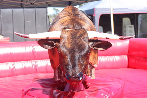 Gundaroo Music Festival - Accommodation Mermaid Beach 2