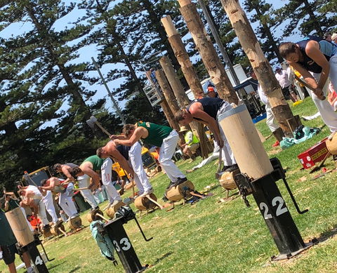 Kiama Show - Accommodation Mermaid Beach 1
