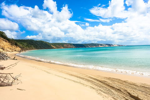 Longreach Leg - Beach To Reach 2020 - Accommodation Mermaid Beach 2