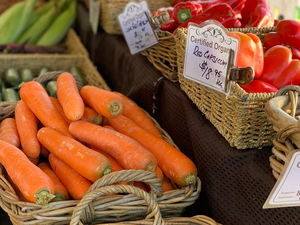 Markets in the Meadow