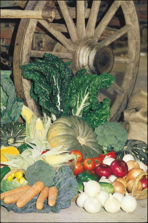 Mulgowie Real Farmers Markets - Accommodation Mermaid Beach 0