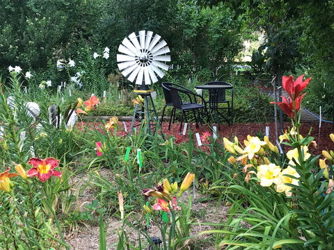 Riverina Iris Farm Open Garden And Iris Display - Accommodation Mermaid Beach 2