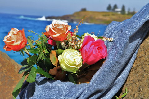 Roses By The Seaside: National Rose Championships And Conference - Accommodation Mermaid Beach 0
