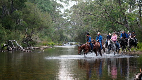 The Man From Snowy River Bush Festival - Accommodation Mermaid Beach 0