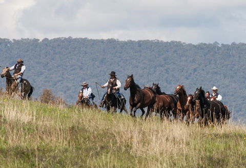 The Man From Snowy River Bush Festival - Accommodation Mermaid Beach 1