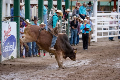 Warwick Rodeo National APRA National Finals And Warwick Gold Cup Campdraft - Accommodation Mermaid Beach 1