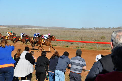 2020 Quorn Cup - Accommodation Mermaid Beach 0