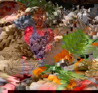 Albany Farmers Market - Accommodation Mermaid Beach