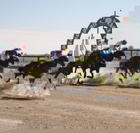 Bedourie Races and Rodeo - Accommodation Mermaid Beach