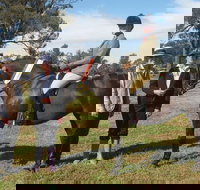 Birbbaree Show - Accommodation Mermaid Beach