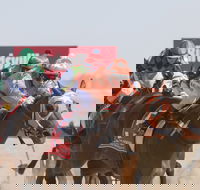 Birdsville Races - Accommodation Mermaid Beach
