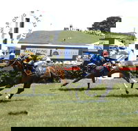 Bong Bong Picnic Races - Accommodation Mermaid Beach