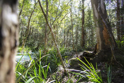 Bottlebutt Bash Trail Run - Accommodation Mermaid Beach 0