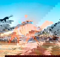 Boulia Camel Races - Accommodation Mermaid Beach