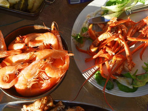 Cape Jaffa Food And Wine Festival - Accommodation Mermaid Beach 0