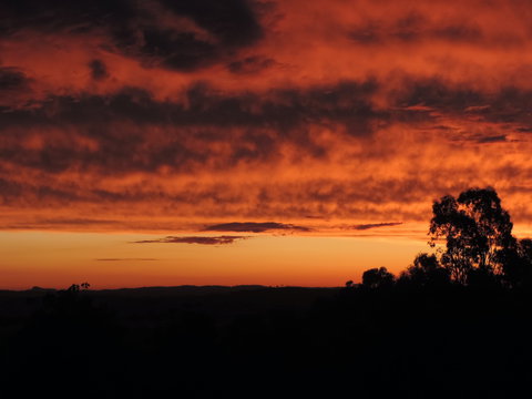 Father's Day At Cottontail Wines - Accommodation Mermaid Beach 0