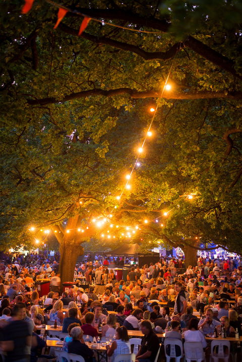 Festivale - Accommodation Mermaid Beach 0