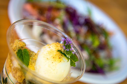 Festivale - Accommodation Mermaid Beach 2