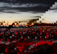 Field of Light Uluru - Accommodation Mermaid Beach