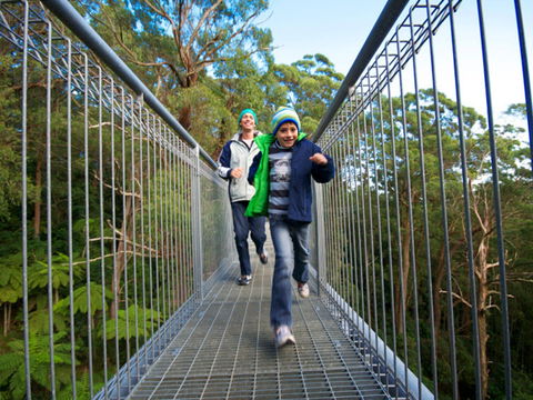 Get Back To Nature These July School Holidays! - Accommodation Mermaid Beach 0