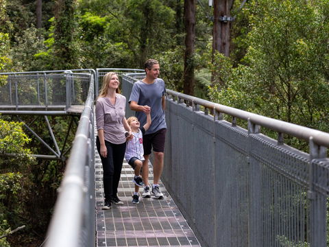 Get Back To Nature These July School Holidays! - Accommodation Mermaid Beach 1