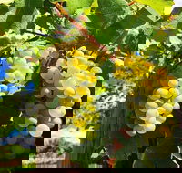 GetawaysSA Bringing Barossa To Your Door - Accommodation Mermaid Beach