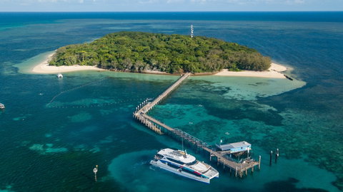 Great Adventures Green Island Ocean Swim - Accommodation Mermaid Beach 0