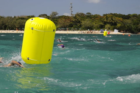 Great Adventures Green Island Ocean Swim - Accommodation Mermaid Beach 1