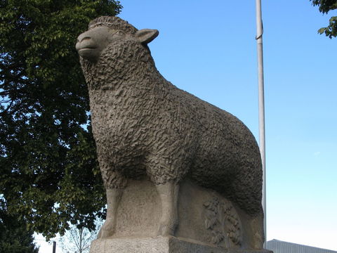 Guyra Lamb And Potato Festival - Accommodation Mermaid Beach 0
