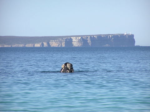 Jervis Bay's Sydney To Hobart Experience - Accommodation Mermaid Beach 0