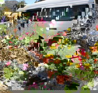 Johns River Country Markets - Accommodation Mermaid Beach