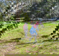 July 2020 Holidays- Forest Adventures Treasure Hunt - Accommodation Mermaid Beach