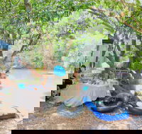 Jungle Love Festival - Accommodation Mermaid Beach